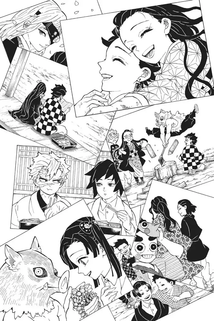 Demon Slayer Chapter 205 image 33_optimized